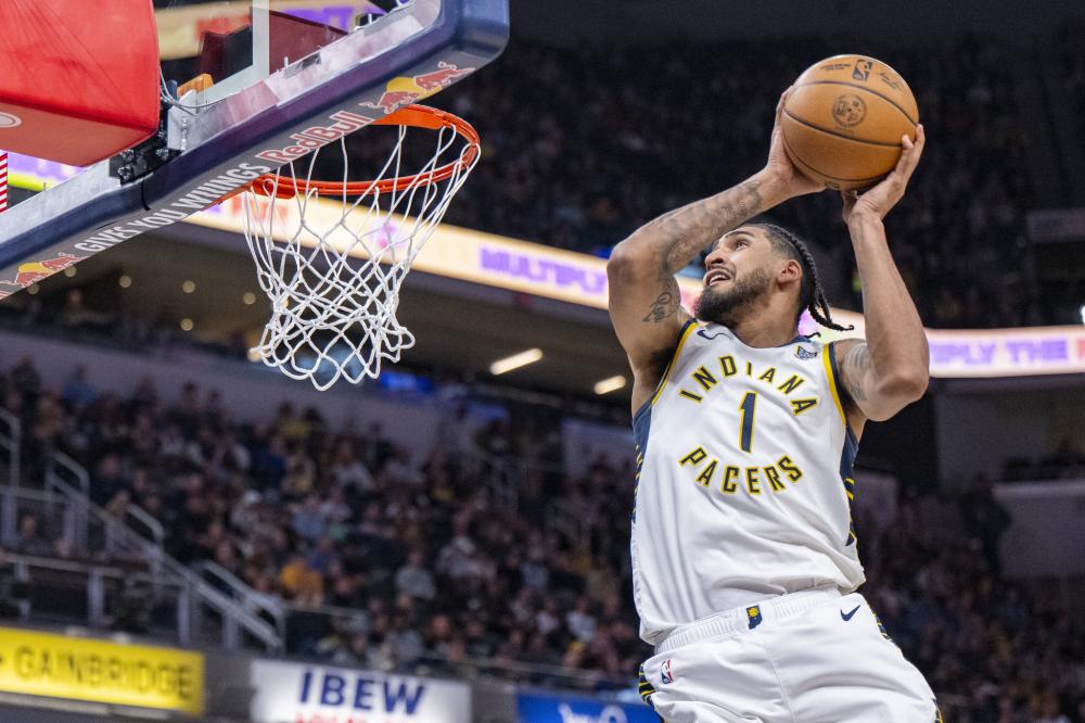 待猎物的刺 待猎物的刺