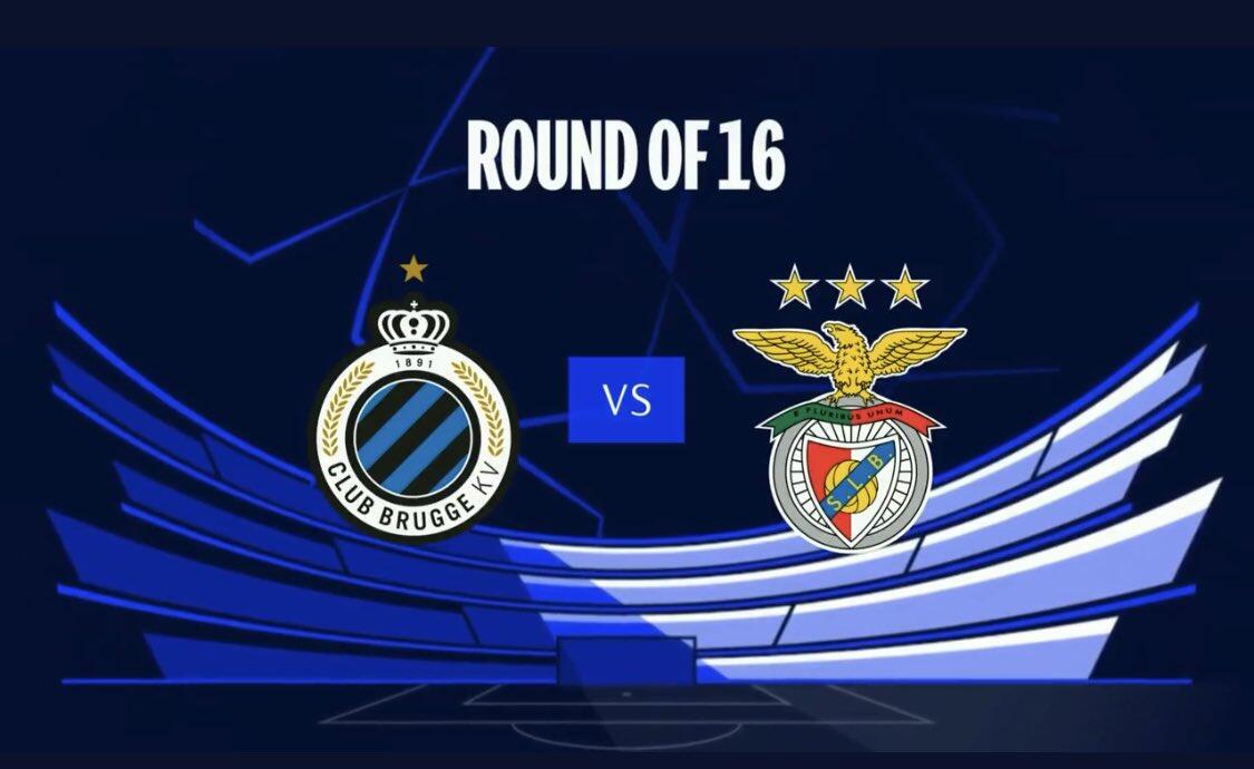 会选择来传 会选择来传